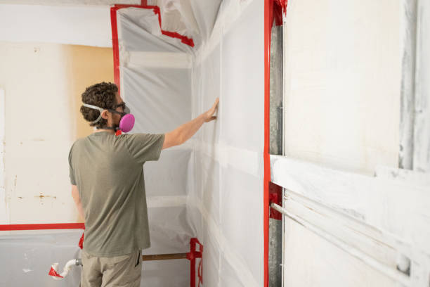 Best Post-Remediation Verification Testing  in Tanque Verde, AZ