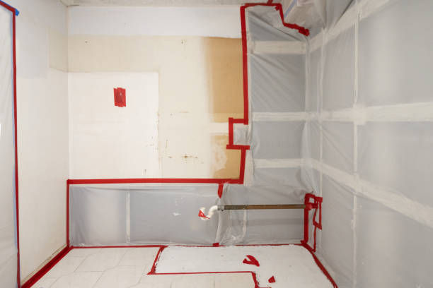 Best Dehumidification Services  in Tanque Verde, AZ
