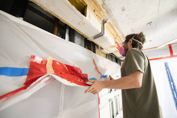 Best Mold Documentation for Insurance Claims  in Tanque Verde, AZ
