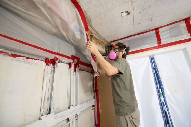 Mold Removal for HVAC Installations in Tanque Verde, AZ