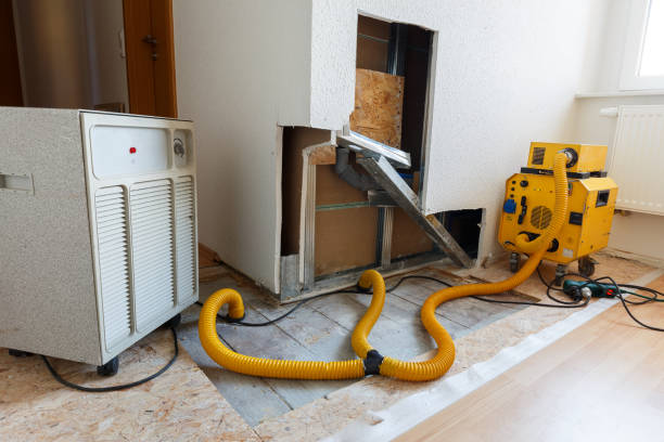 Reliable Tanque Verde, AZ Mold Removal Solutions
